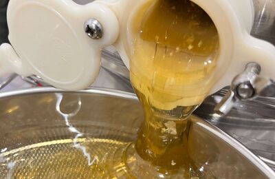 Honig fließt aus dem Quetschhahn beim Schleudern