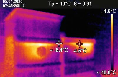 Bienenstöcke im Winter durch eine Wärmebildkamera