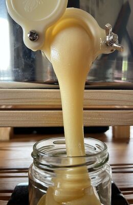 Cremiger Honig fließt aus dem Quetschhahn beim Abfüllen
