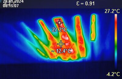 Bienentraube im Winter mit Wärmebildkamera aufgenommen